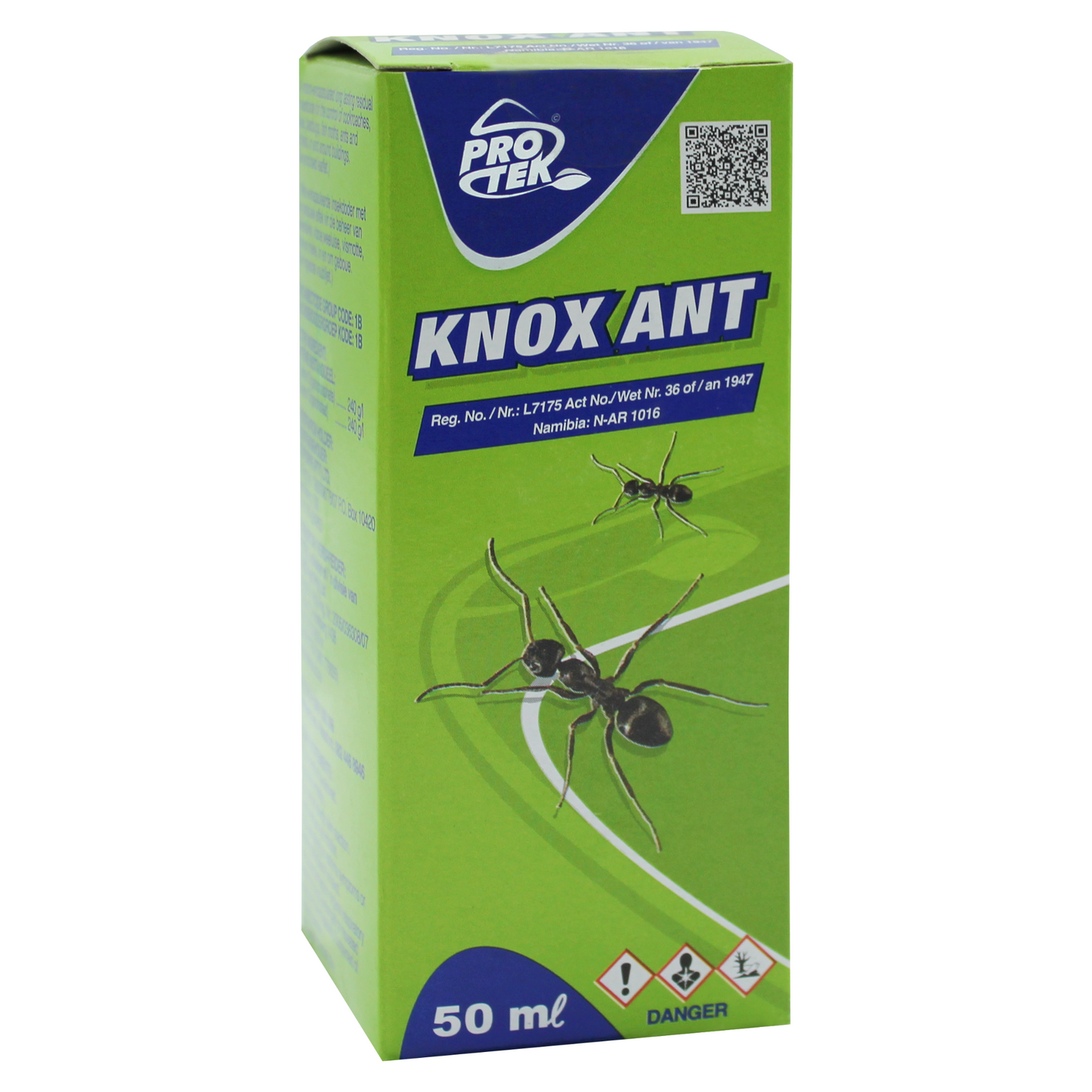 Knox Ant