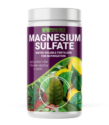 Magnesium Sulfate