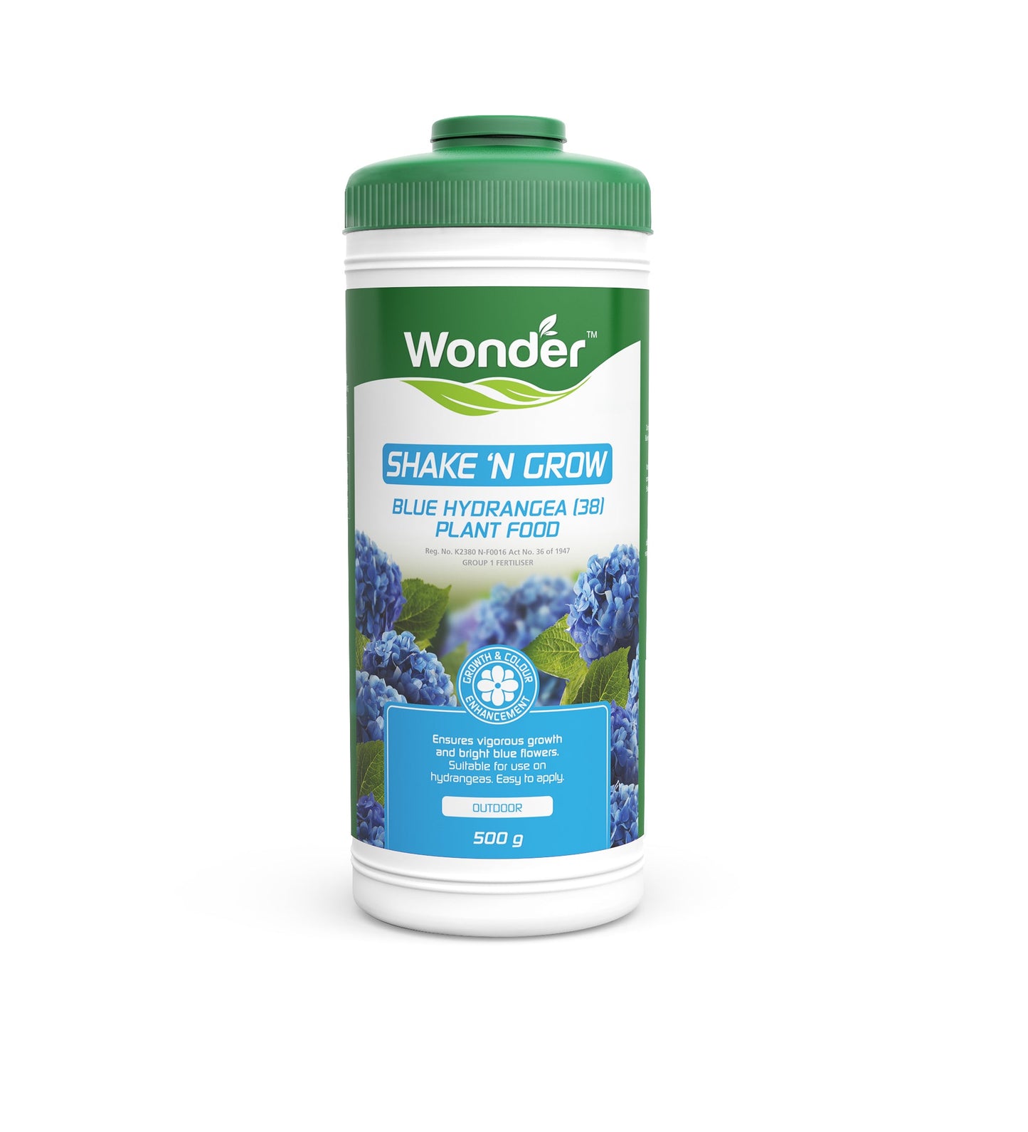 Shake and Grow Blue Hydrangea