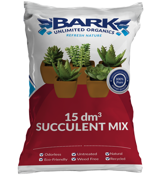Succulent Mix