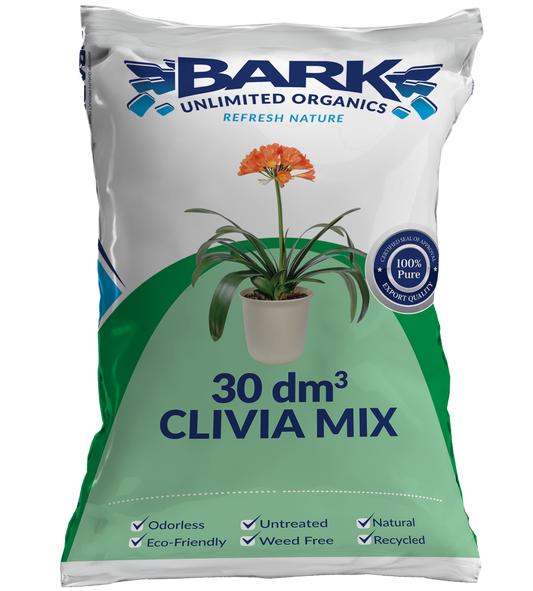 Clivia Mix