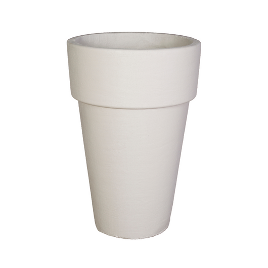Cone