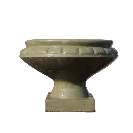 Revolutia planter