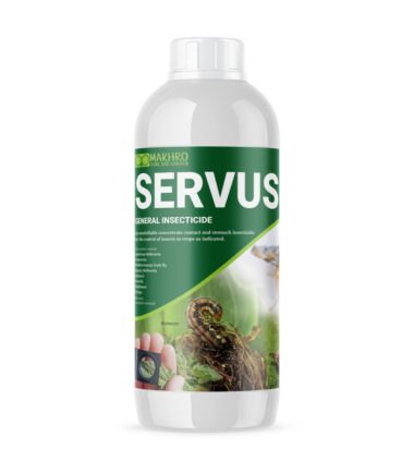 Servus RTU