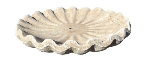 Shell bowl