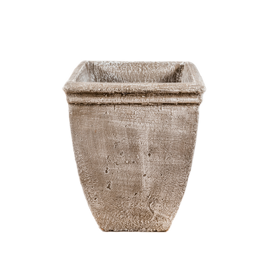 Tulip sqaure pot